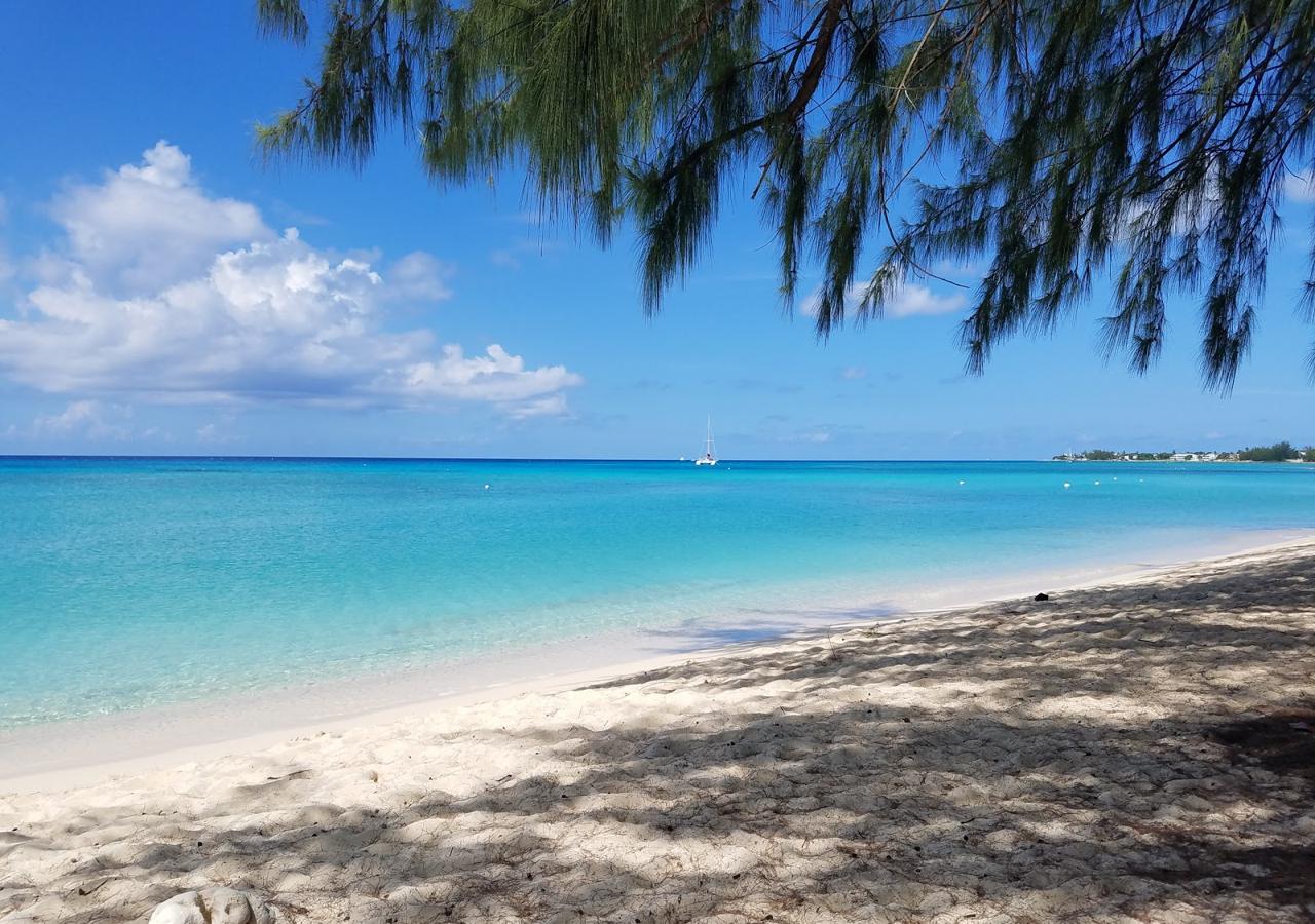 Cemetery Beach Grand Cayman with casuarina trees and clear turquoise water