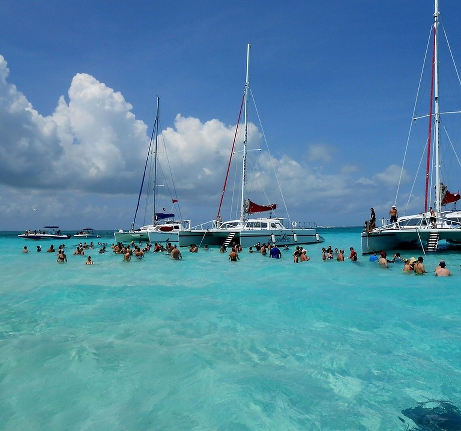 Stingray City, Barrier Reef & Coral Gardens photo 3