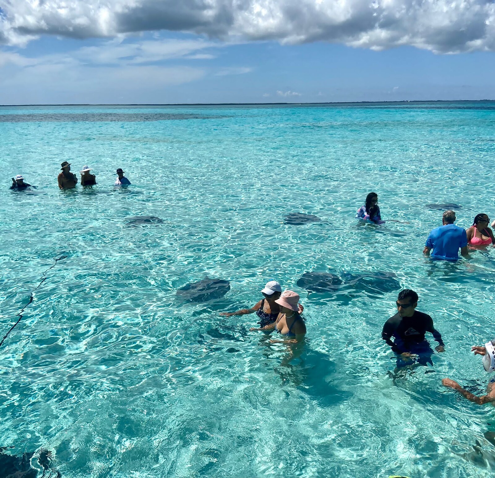 Stingray City, Barrier Reef & Coral Gardens photo 4