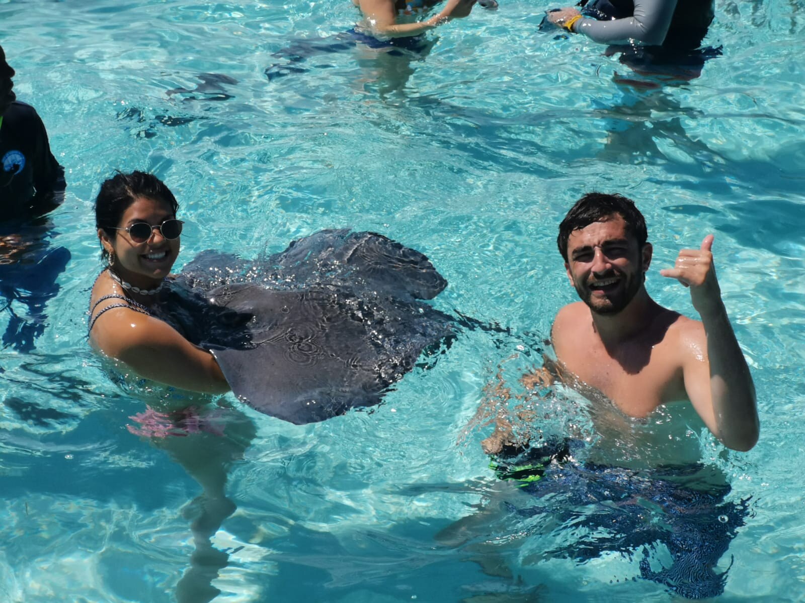 Early Bird Stingray City & Starfish photo 3