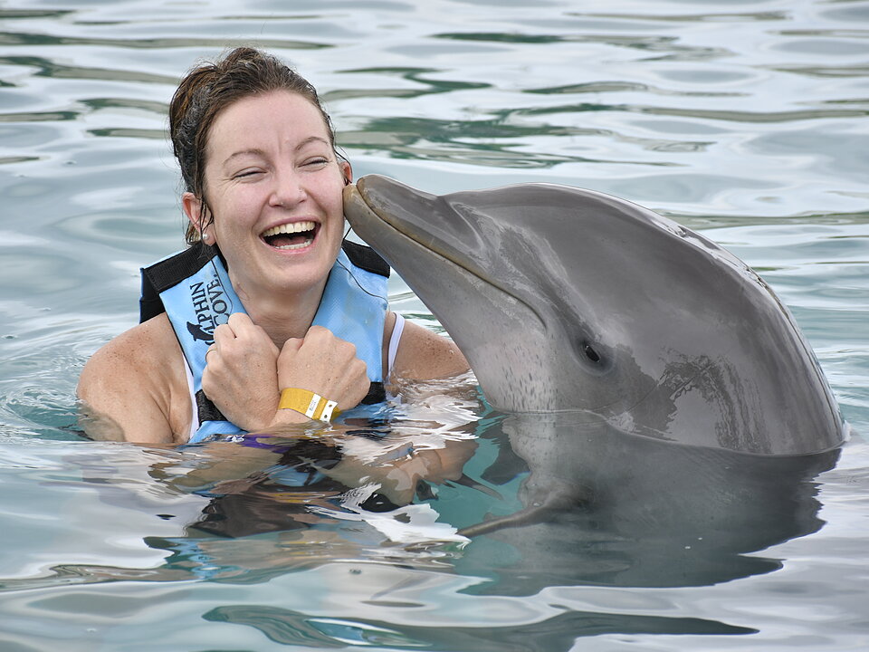 Dolphin Encounter + Turtle Centre photo 2