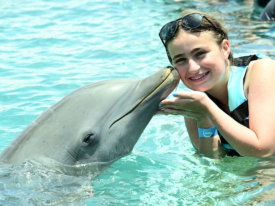 Dolphin Encounter