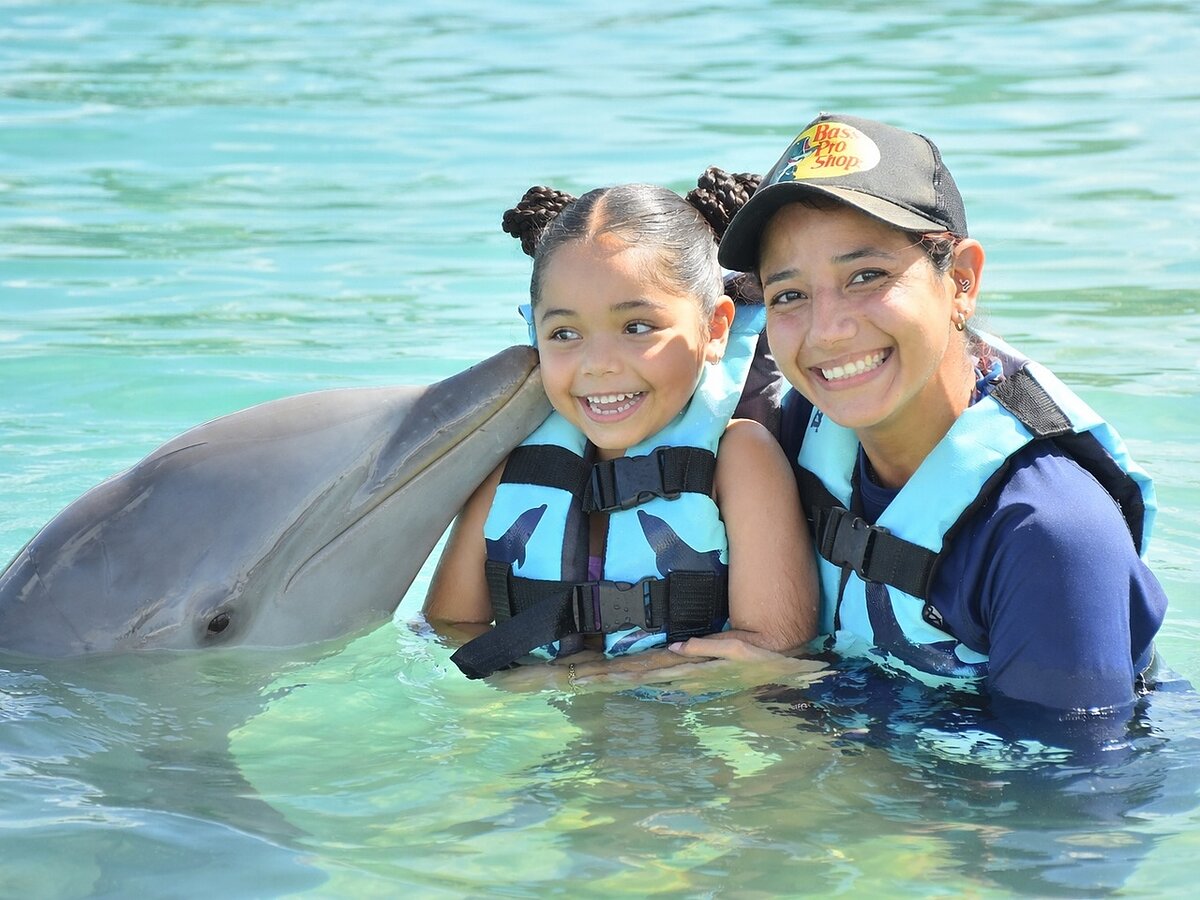 Dolphin Encounter + Turtle Centre