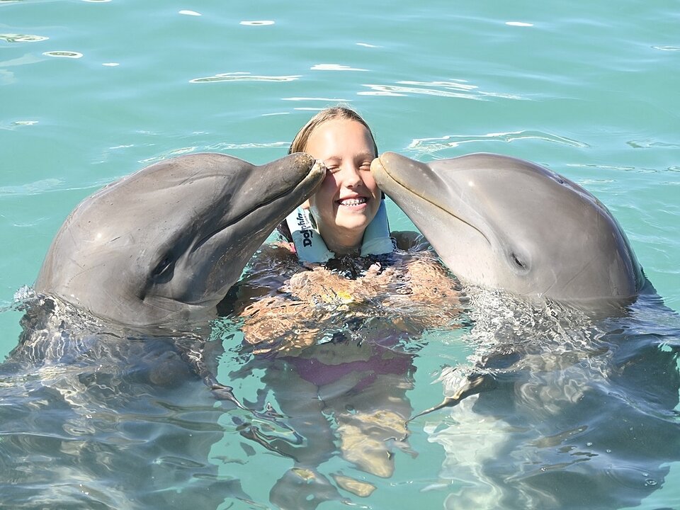 Dolphin Private Platform (Turtle Center Incl) photo 3