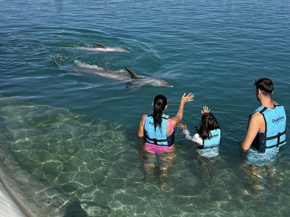 Dolphin Private Platform (Turtle Center Incl) photo 4