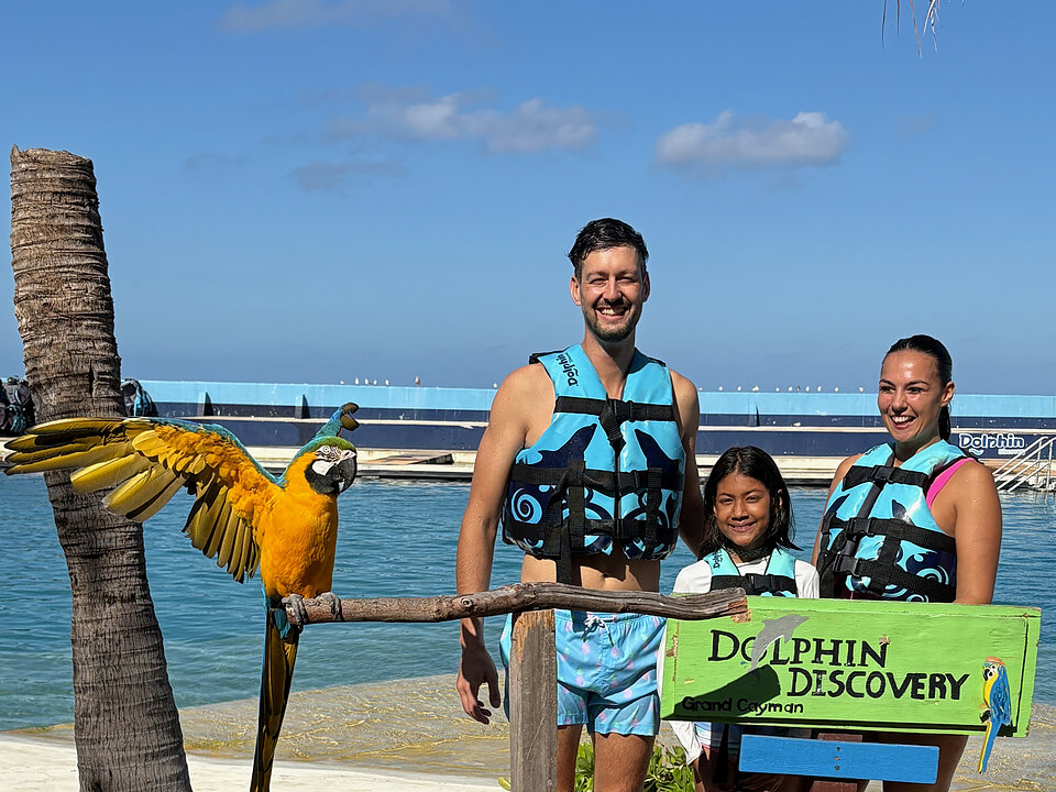 Dolphin Private Platform (Turtle Center Incl) photo 5