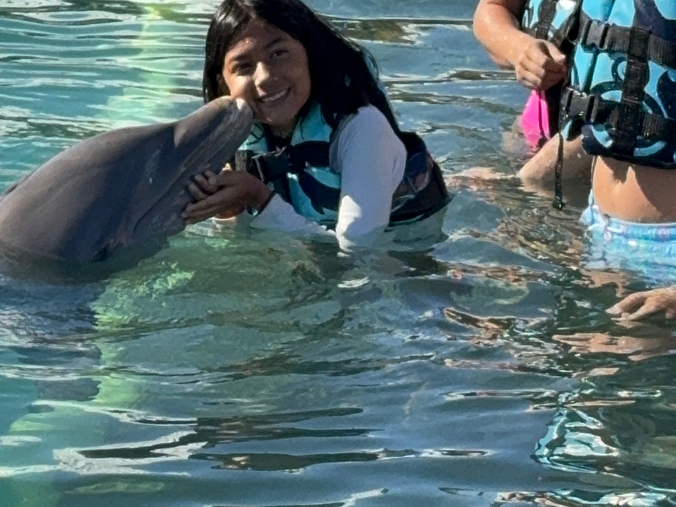 Dolphin Swim Adventure + Turtle Centre photo 4