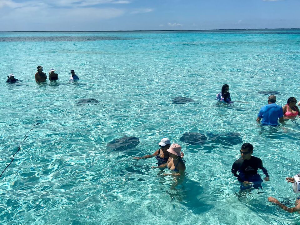 Stingray City, Snorkel & Beach Lunch photo 3