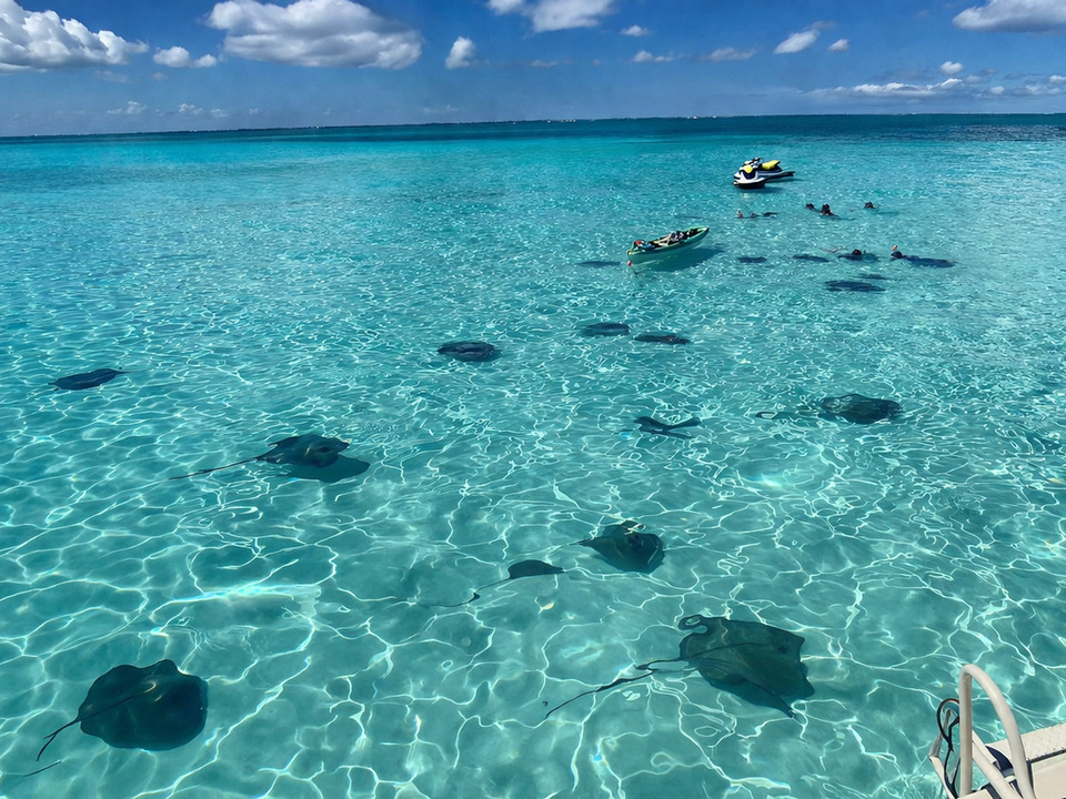 Stingray City, Snorkel & Beach Lunch photo 6