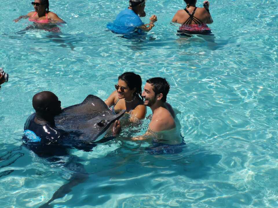 Stingray City & Starfish Point photo 5
